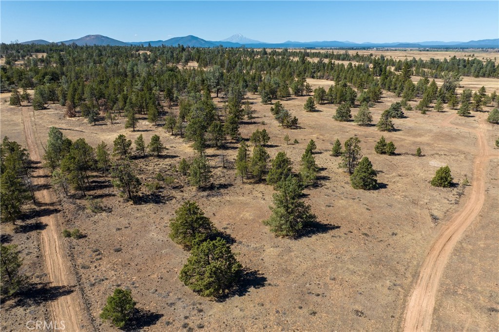 0 Old Highway Road Road Property Photo 11