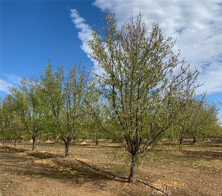 22085 Finnell Property Photo 49