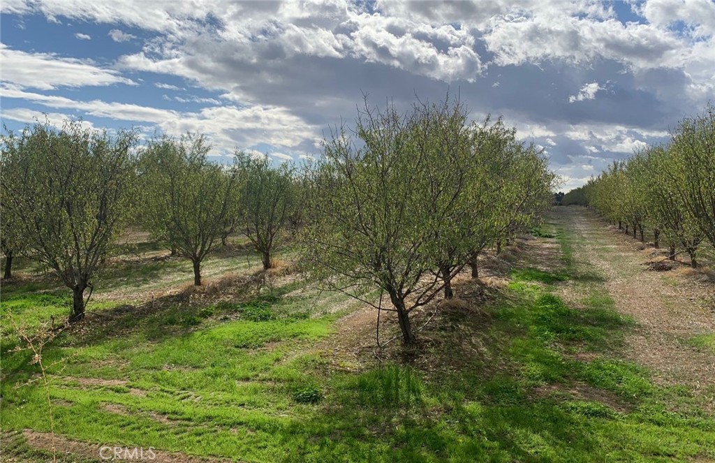 22085 Finnell Property Photo 50