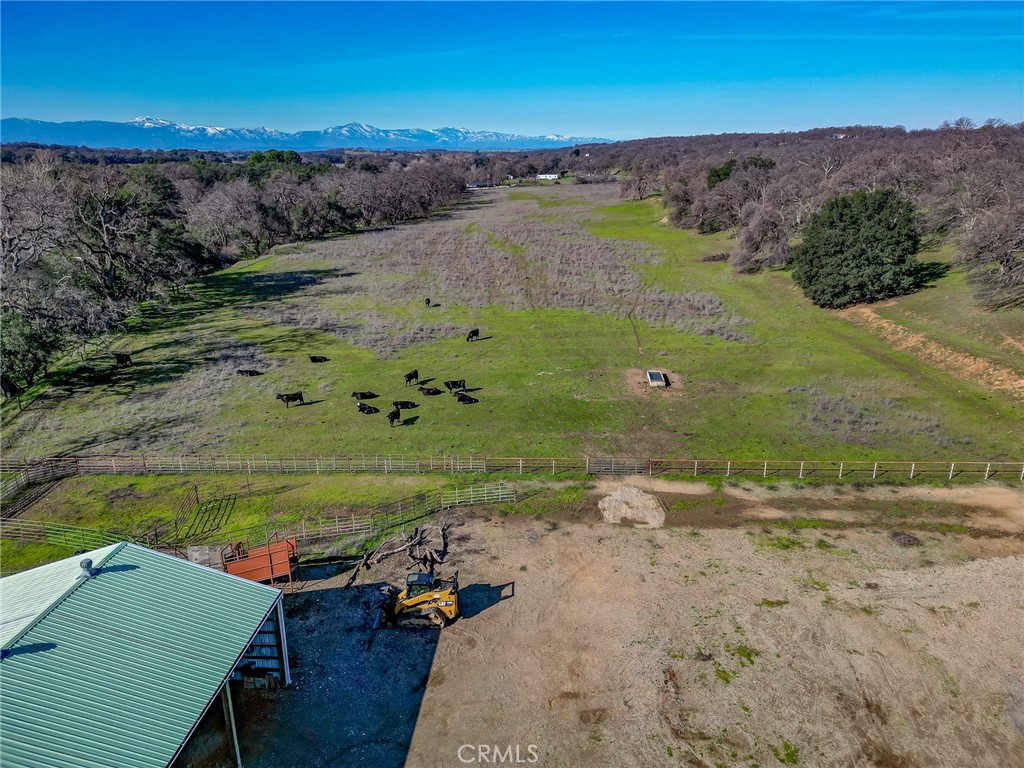 19169 Reeds Creek Road Property Photo 29