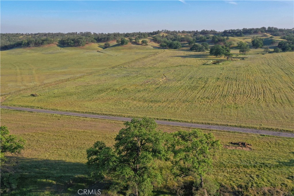 15385 Weston Road Property Photo 44