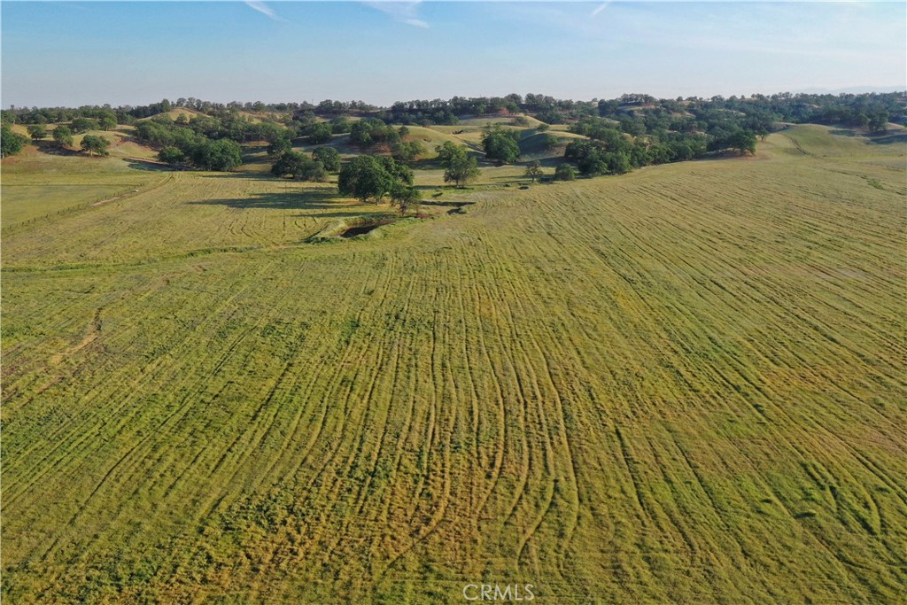 15385 Weston Road Property Photo 45