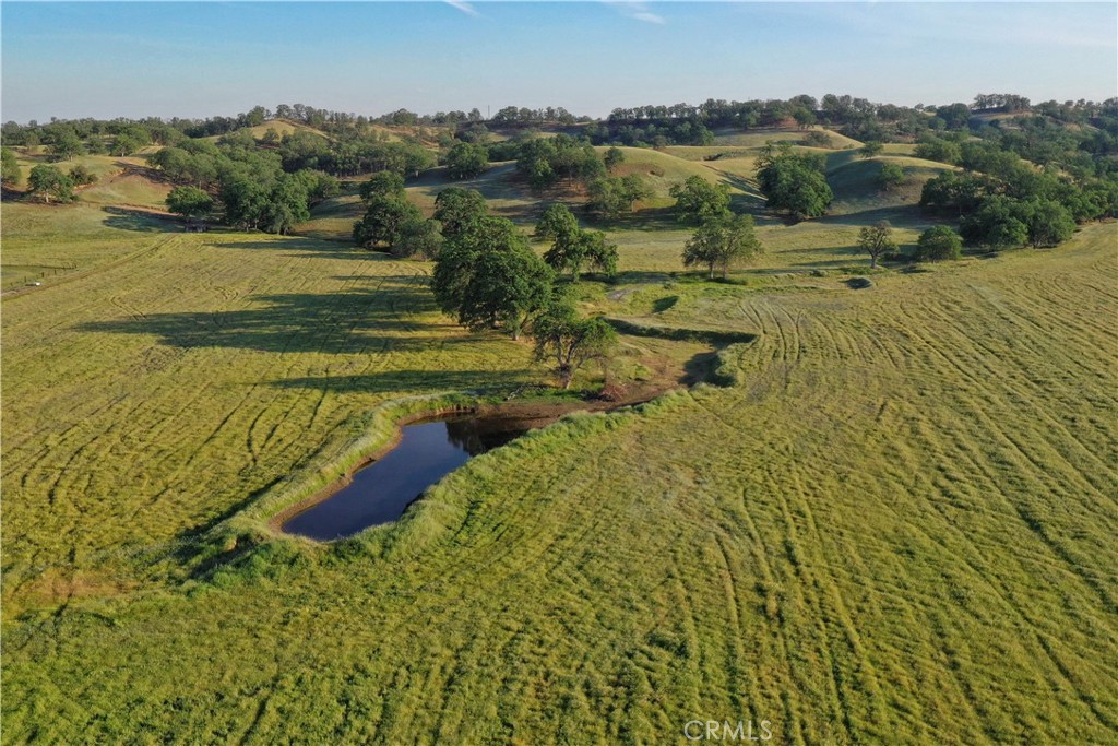 15385 Weston Road Property Photo 46