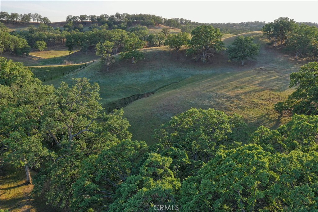 15385 Weston Road Property Photo 51