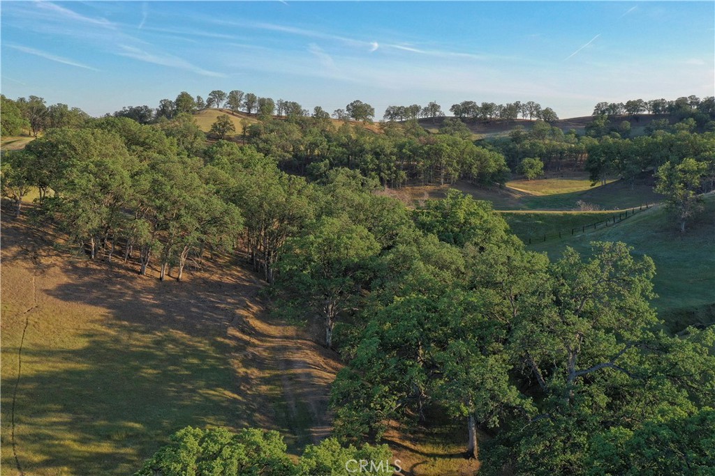 15385 Weston Road Property Photo 52