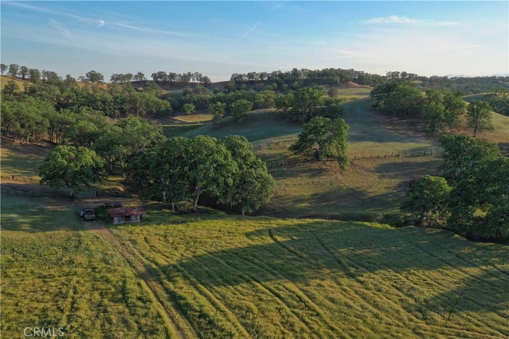 15385 Weston Road Property Photo 53