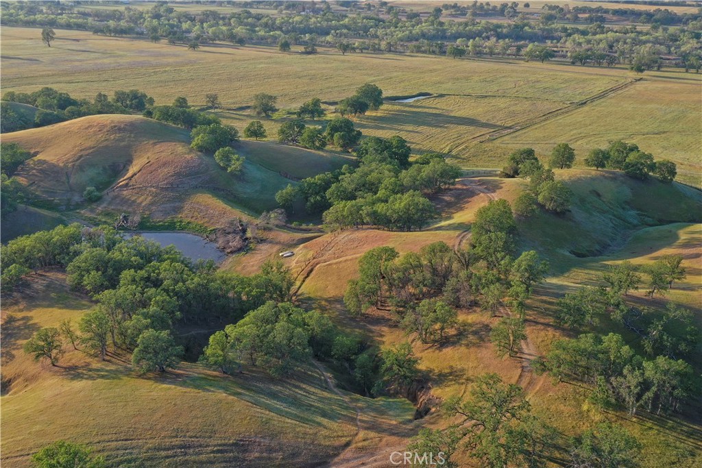 15385 Weston Road Property Photo 62