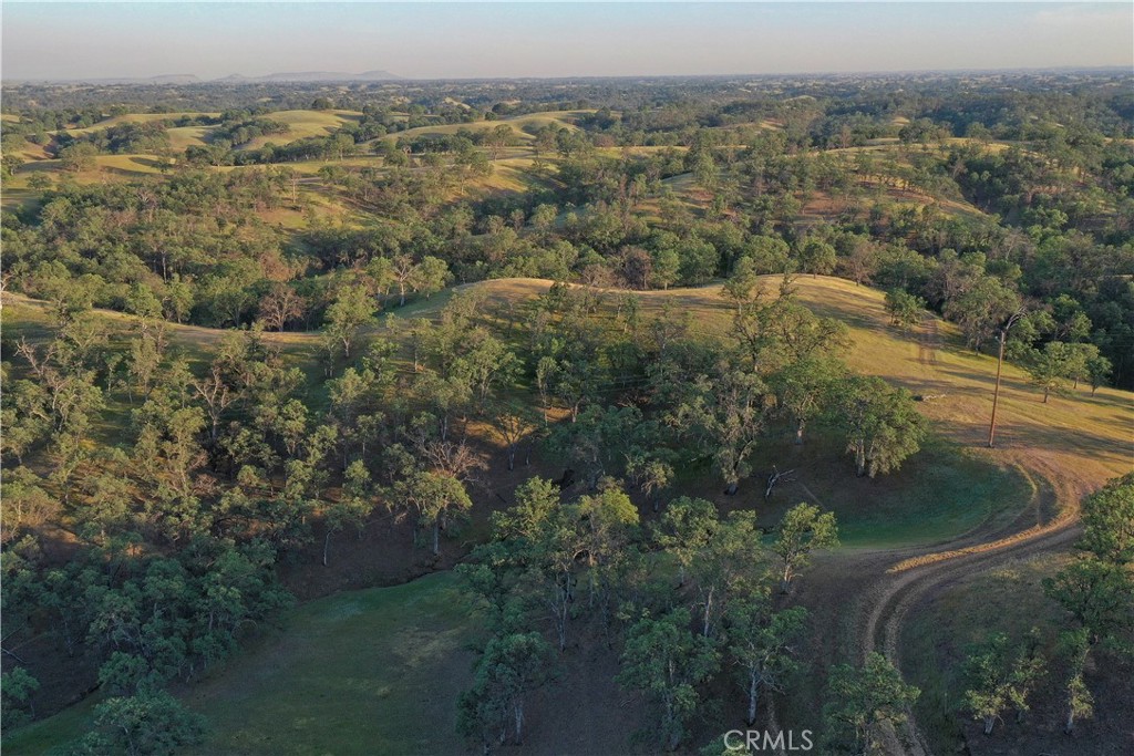 15385 Weston Road Property Photo 63