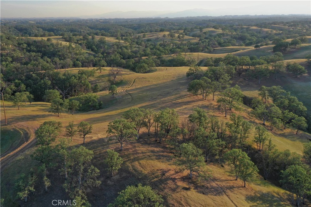 15385 Weston Road Property Photo 64