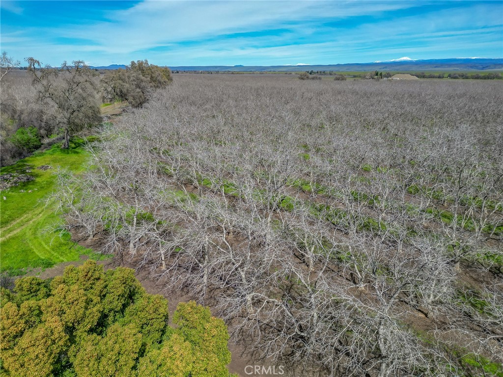 6725 State Highway 99e Property Photo 36