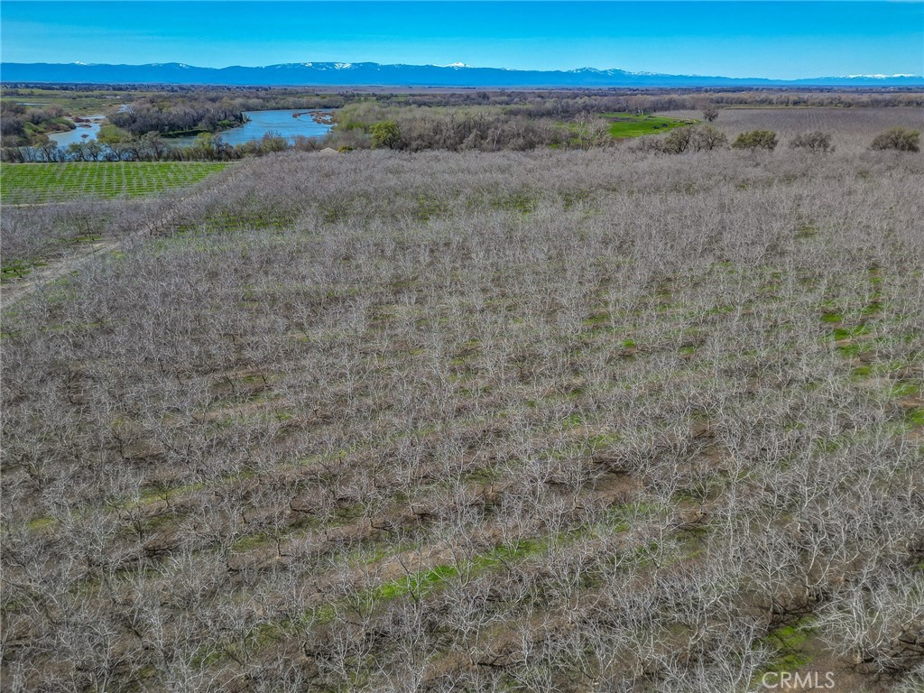 6725 State Highway 99e Property Photo 37