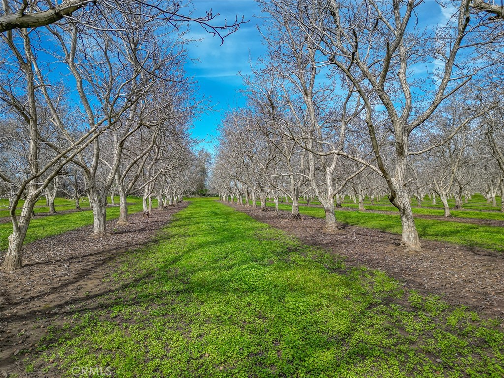 6725 State Highway 99e Property Photo 38