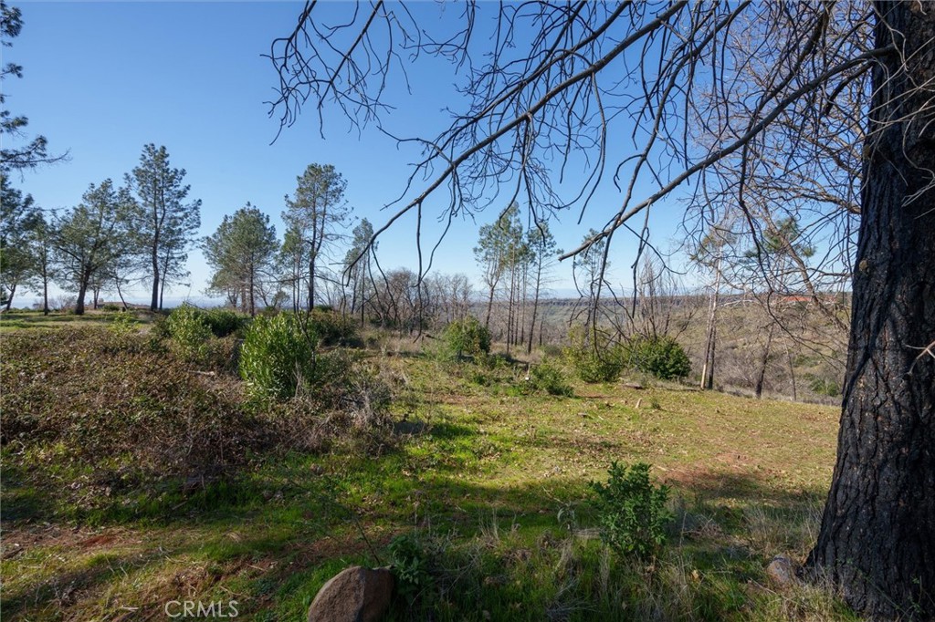 0 Valley View Drive Property Photo 3