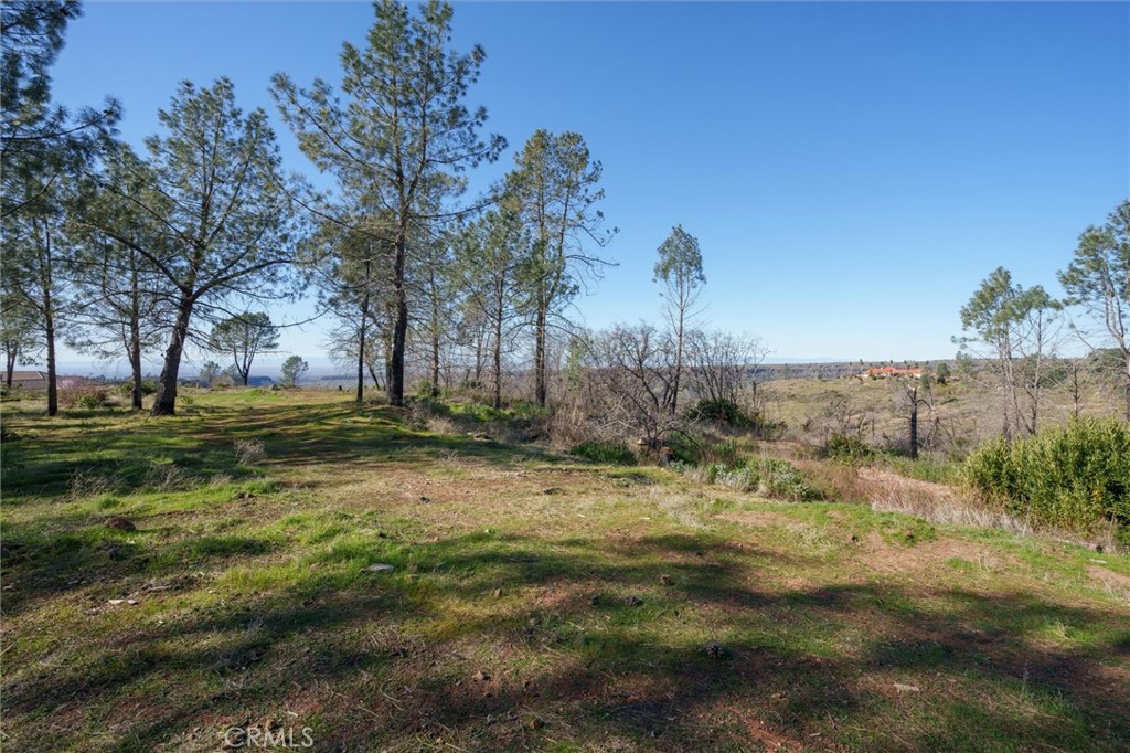 0 Valley View Drive Property Photo 7