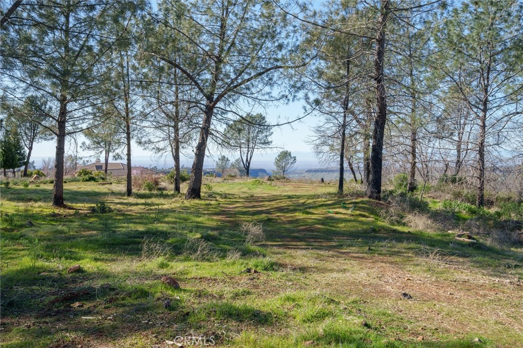 0 Valley View Drive Property Photo 9