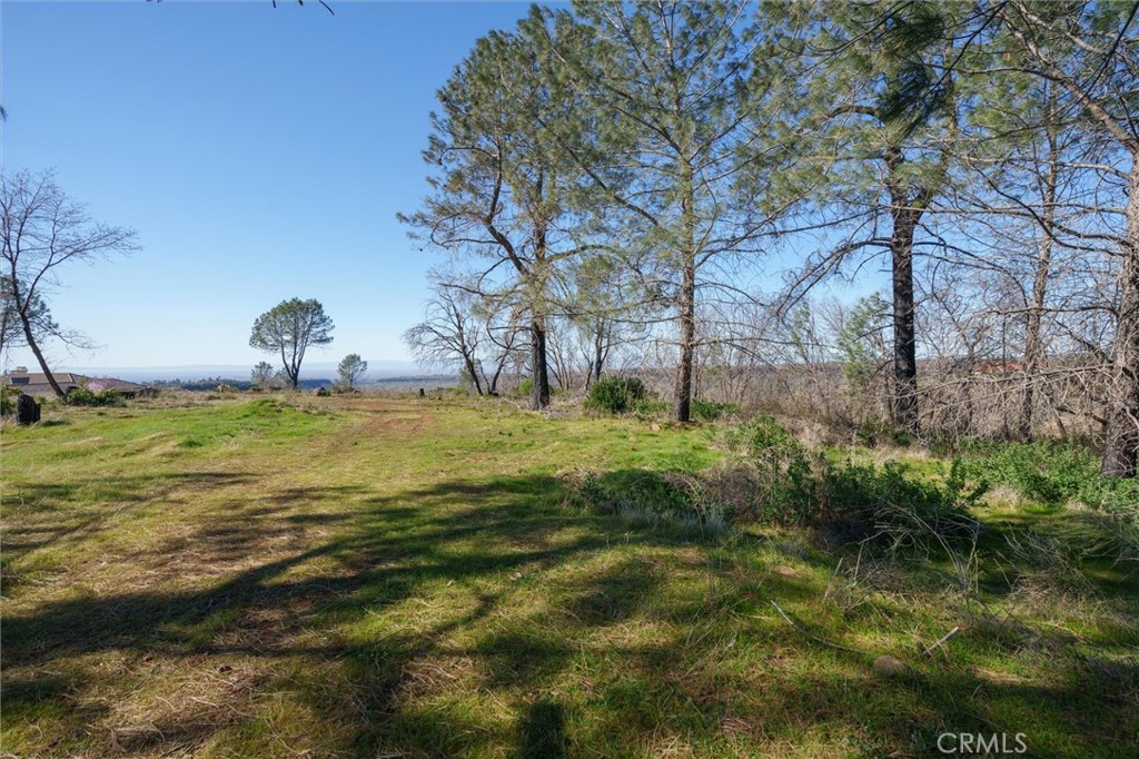 0 Valley View Drive Property Photo 10