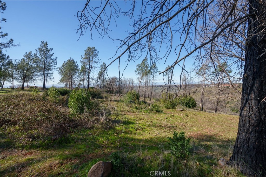 0 Valley View Drive Property Photo 3