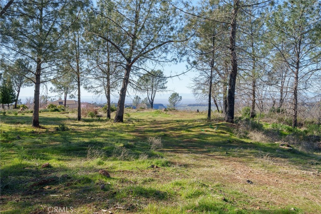 0 Valley View Drive Property Photo 9