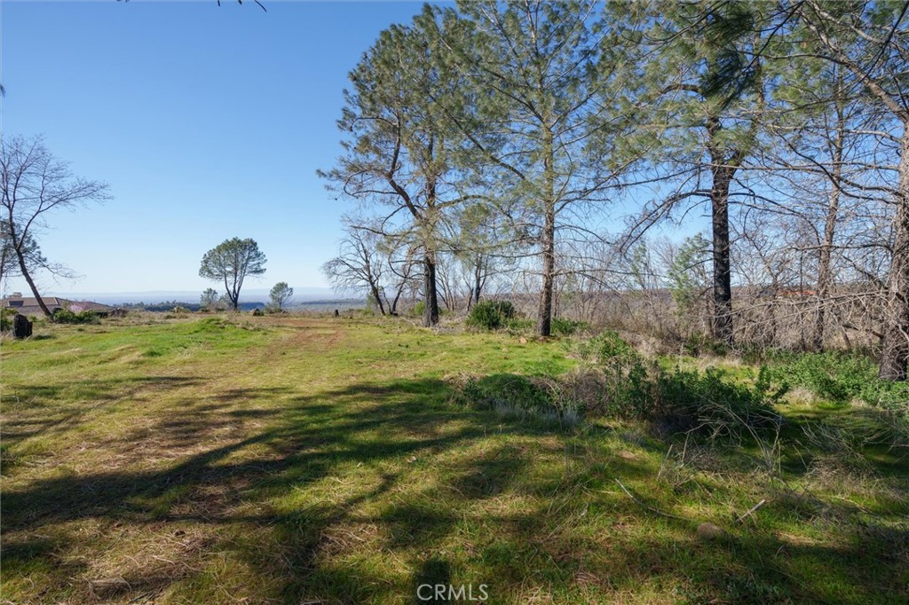 0 Valley View Drive Property Photo 10