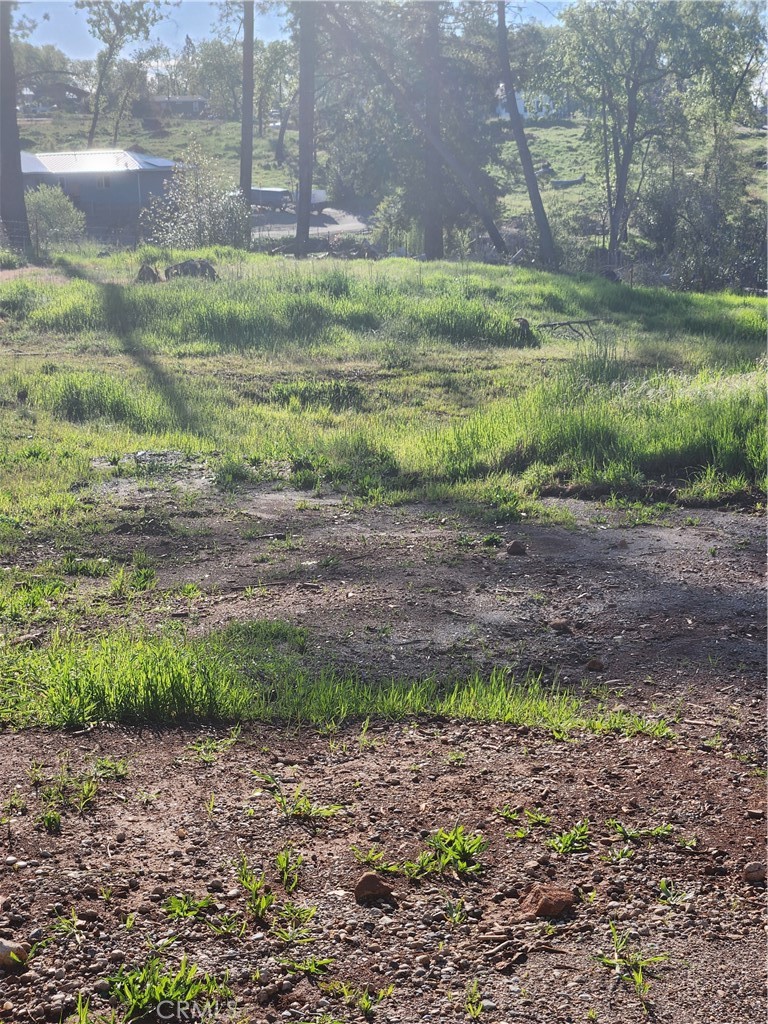 5216 Harmony Lane Property Photo 3