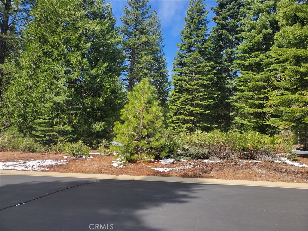 118 Fox Pine Drive Property Photo 2