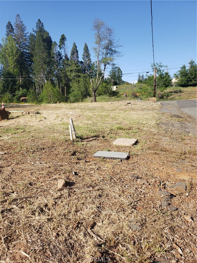 994 Saxberg Drive Property Photo 6