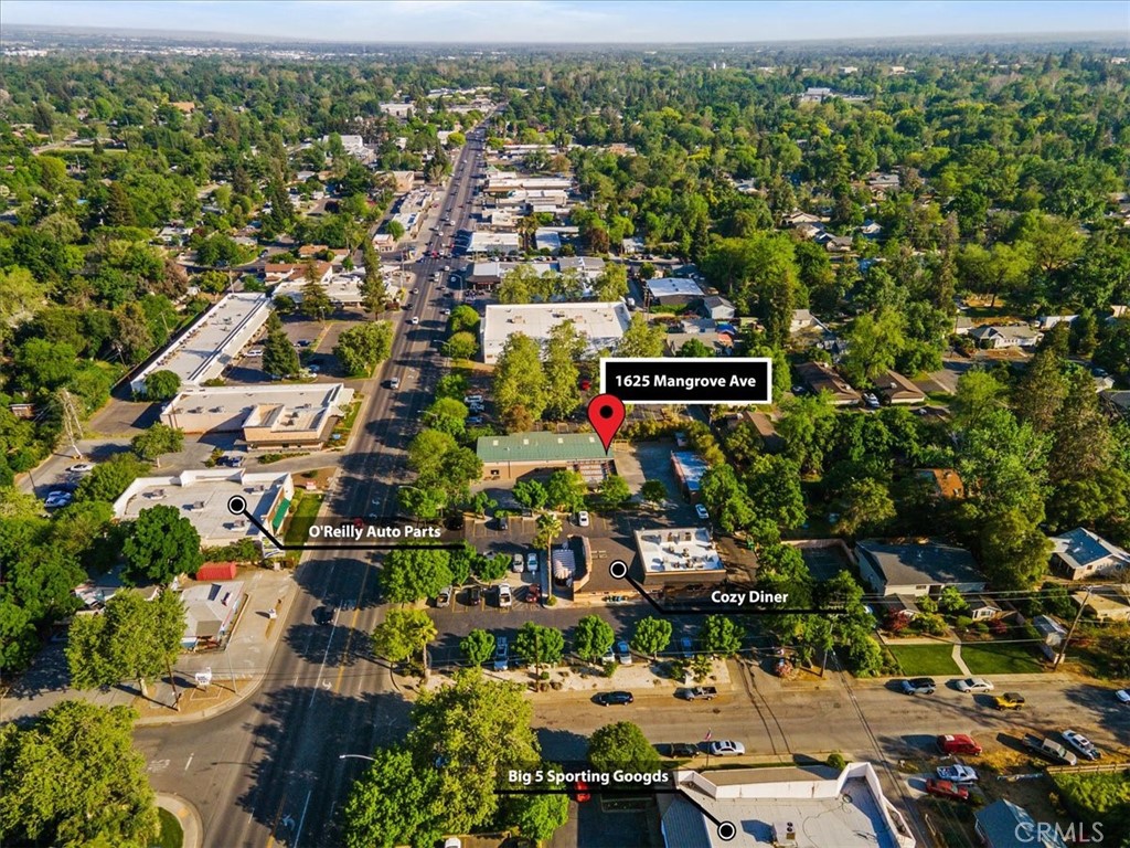 1625 Mangrove Avenue Property Photo 8