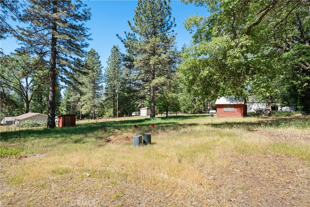 9803 Cohasset Road Property Photo 19