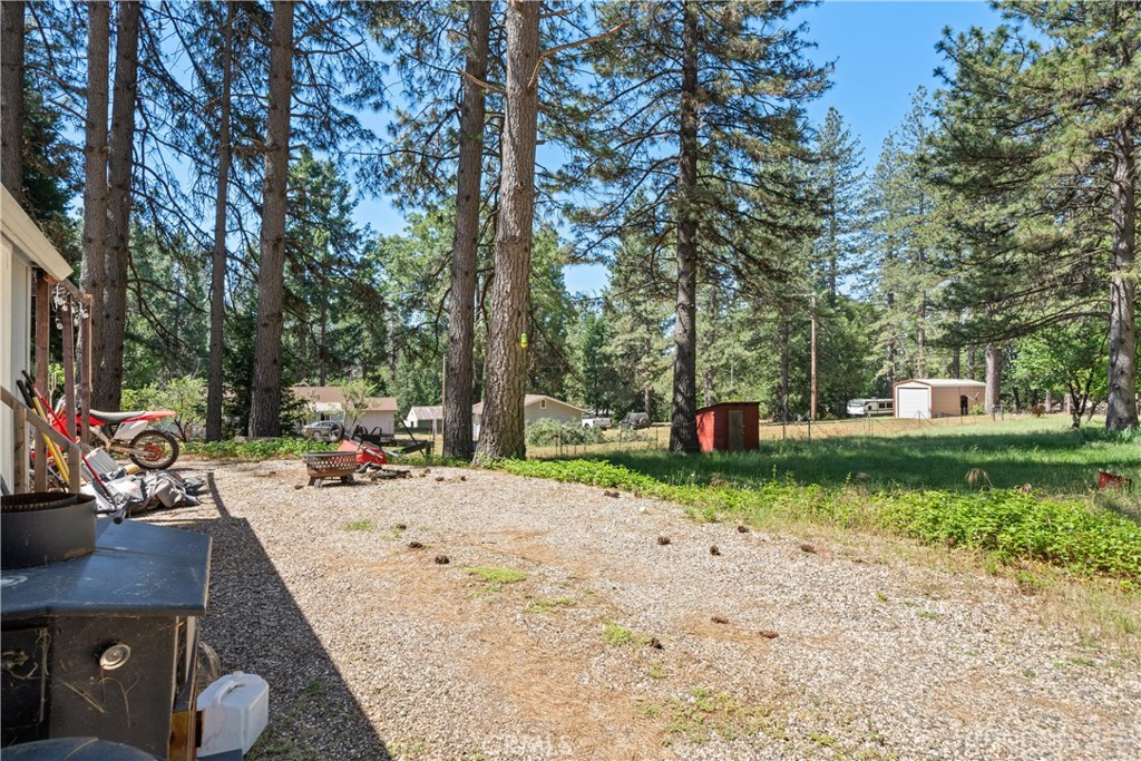 9803 Cohasset Road Property Photo 20