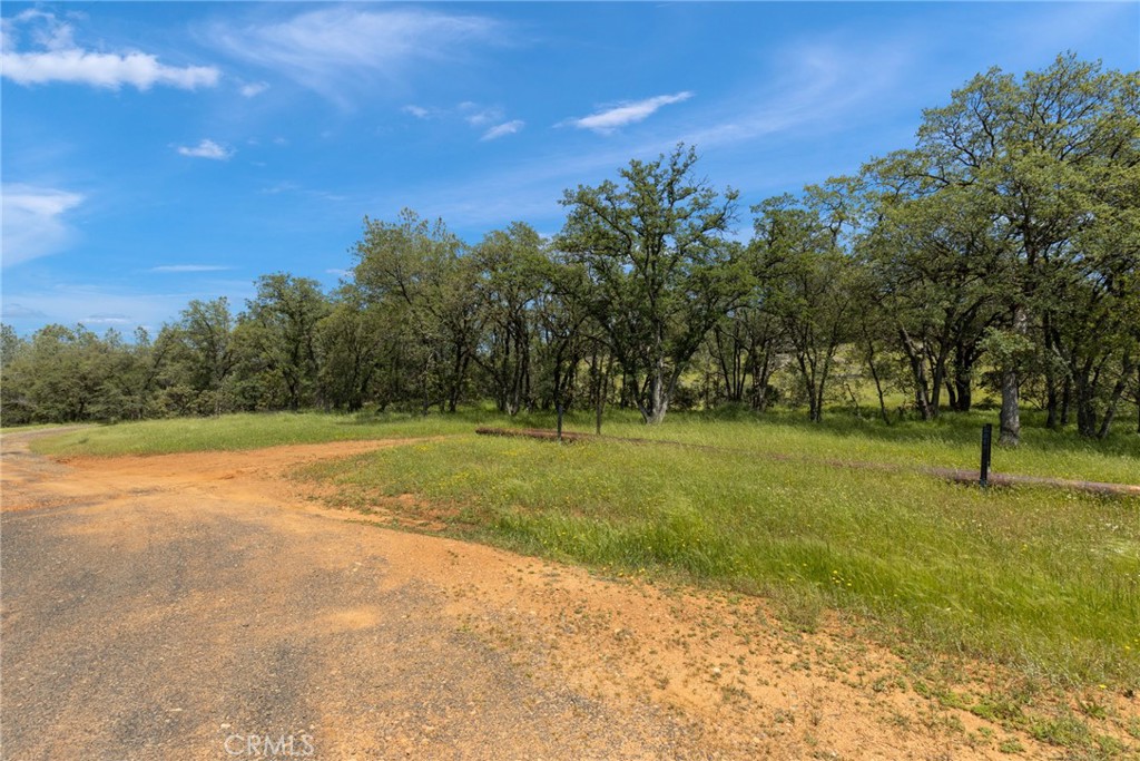 5 Oregon Gulch Road Property Photo 2