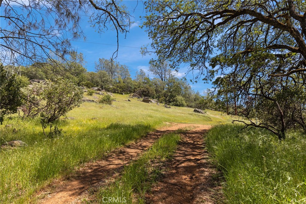 5 Oregon Gulch Road Property Photo 3