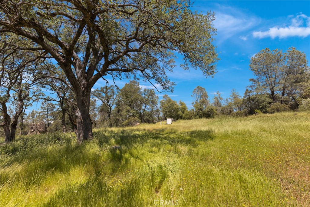 5 Oregon Gulch Road Property Photo 6