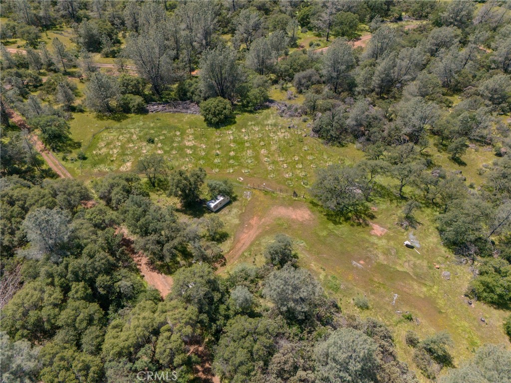 5 Oregon Gulch Road Property Photo 8