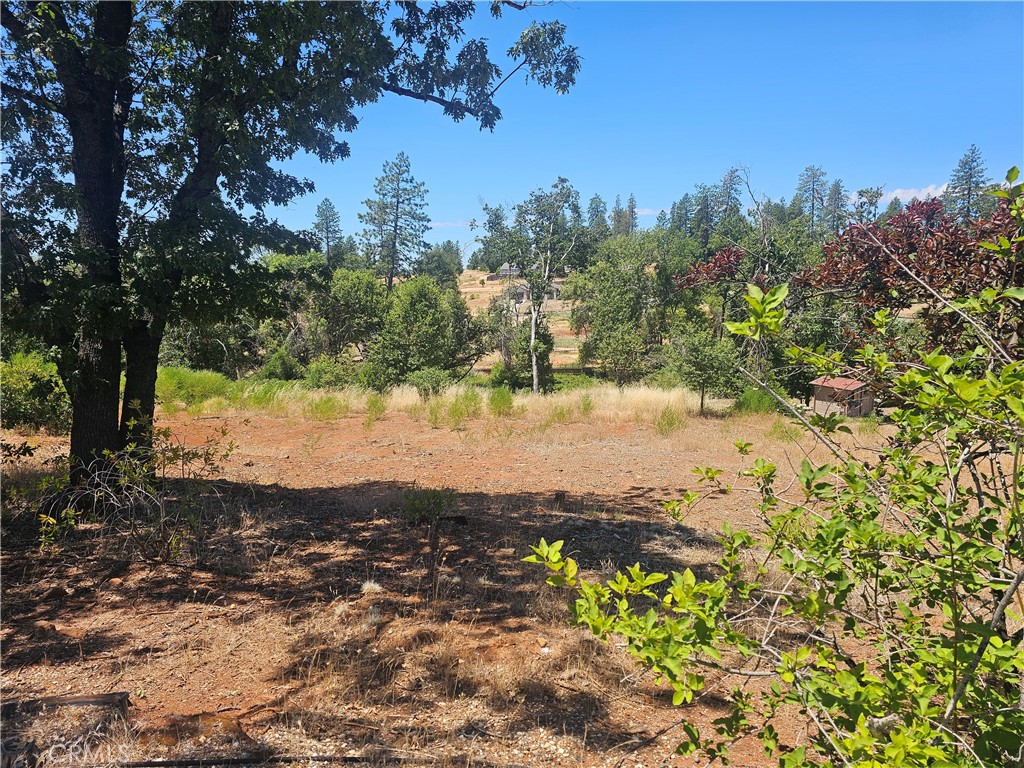 5247 Falcons View Court Property Photo 2