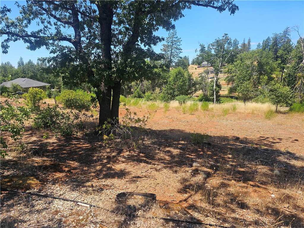 5247 Falcons View Court Property Photo 3