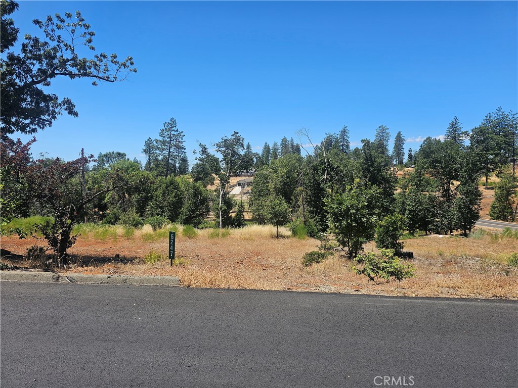 5247 Falcons View Court Property Photo 4