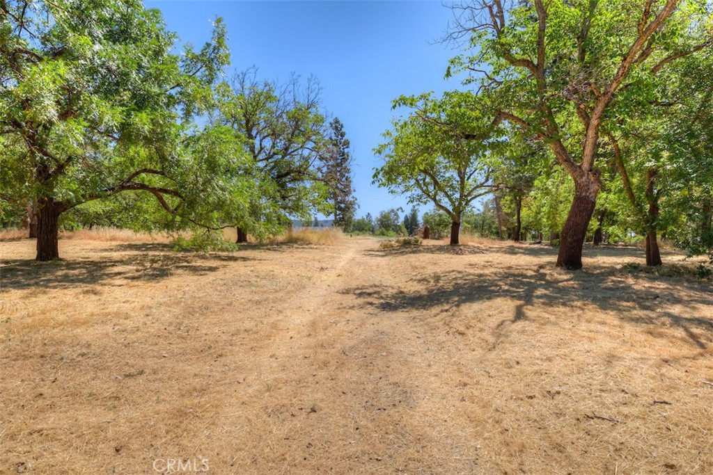 6126 Sawmill Road Property Photo 1