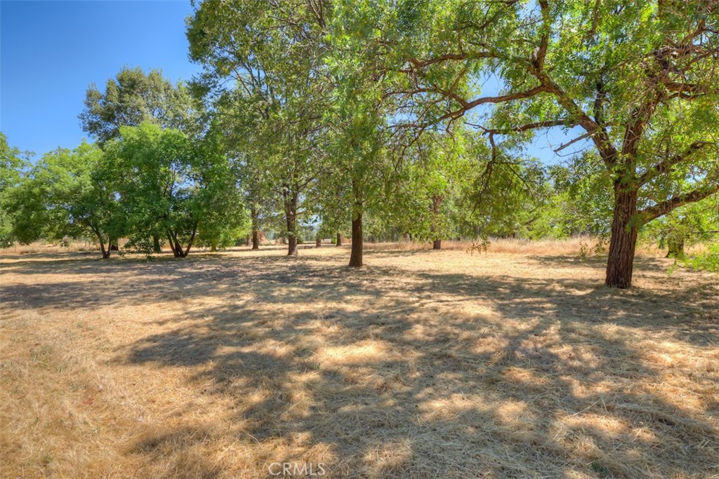 6126 Sawmill Road Property Photo 3