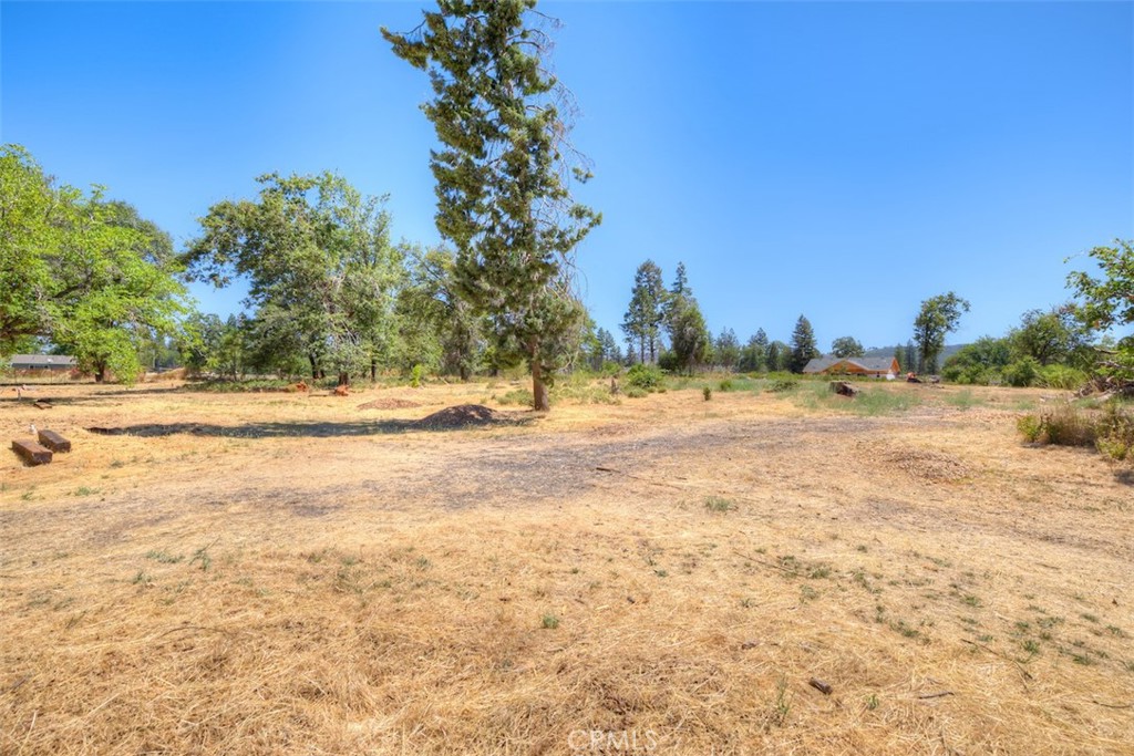 6126 Sawmill Road Property Photo 4