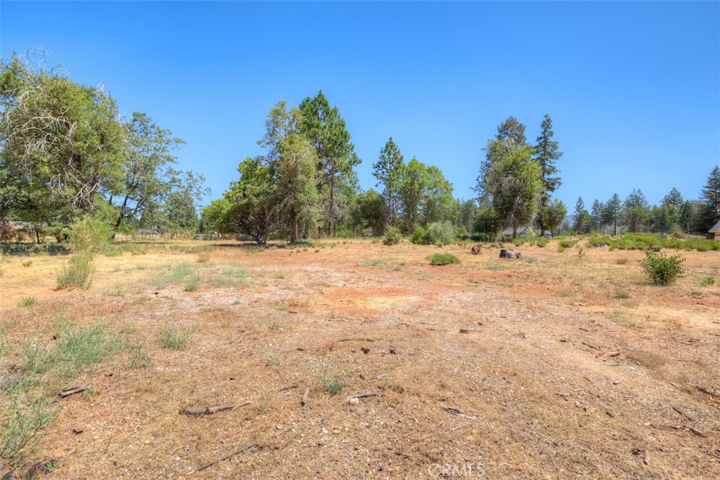 6126 Sawmill Road Property Photo 5