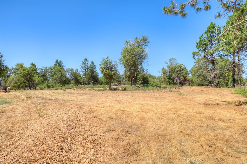 6126 Sawmill Road Property Photo 6