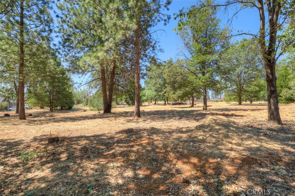 6126 Sawmill Road Property Photo 7