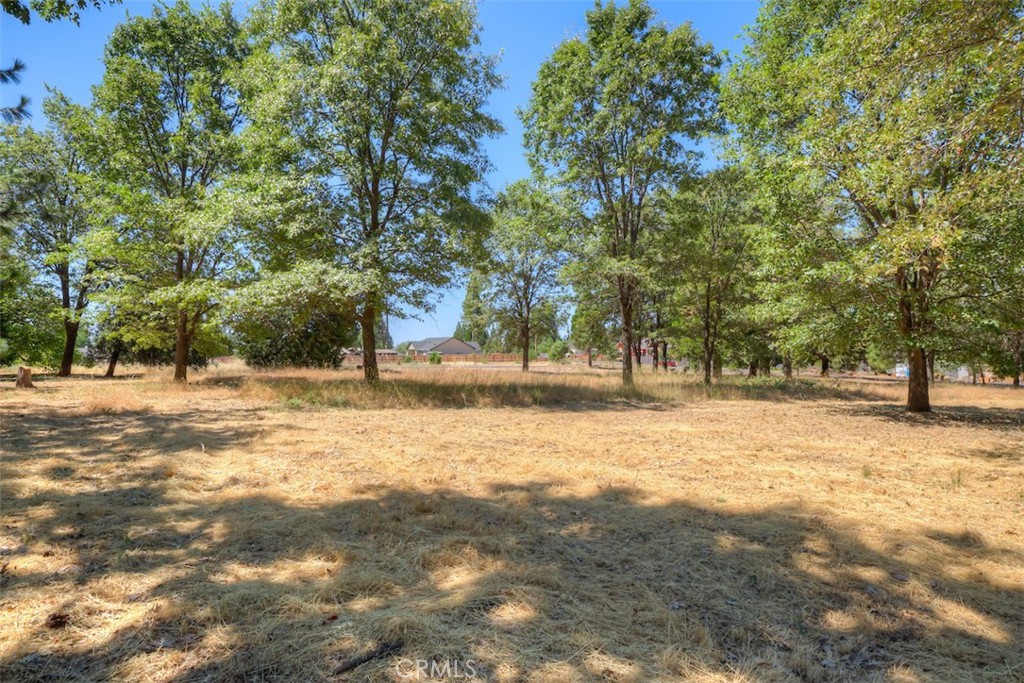 6126 Sawmill Road Property Photo 8