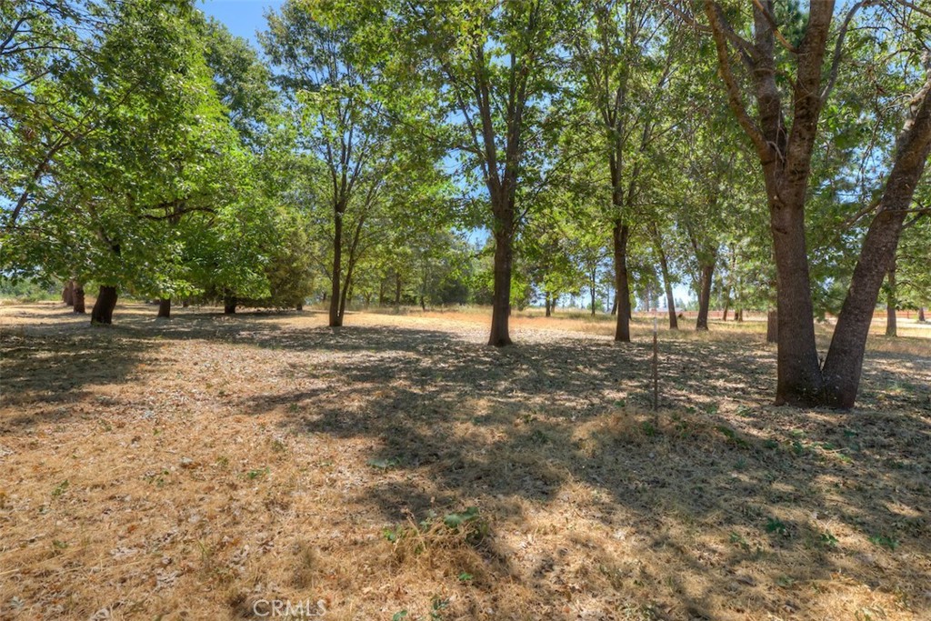 6126 Sawmill Road Property Photo 9