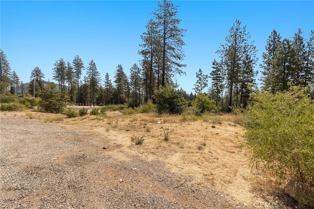 9268 Skyway Property Photo 6
