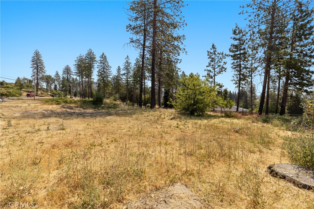 9268 Skyway Property Photo 7