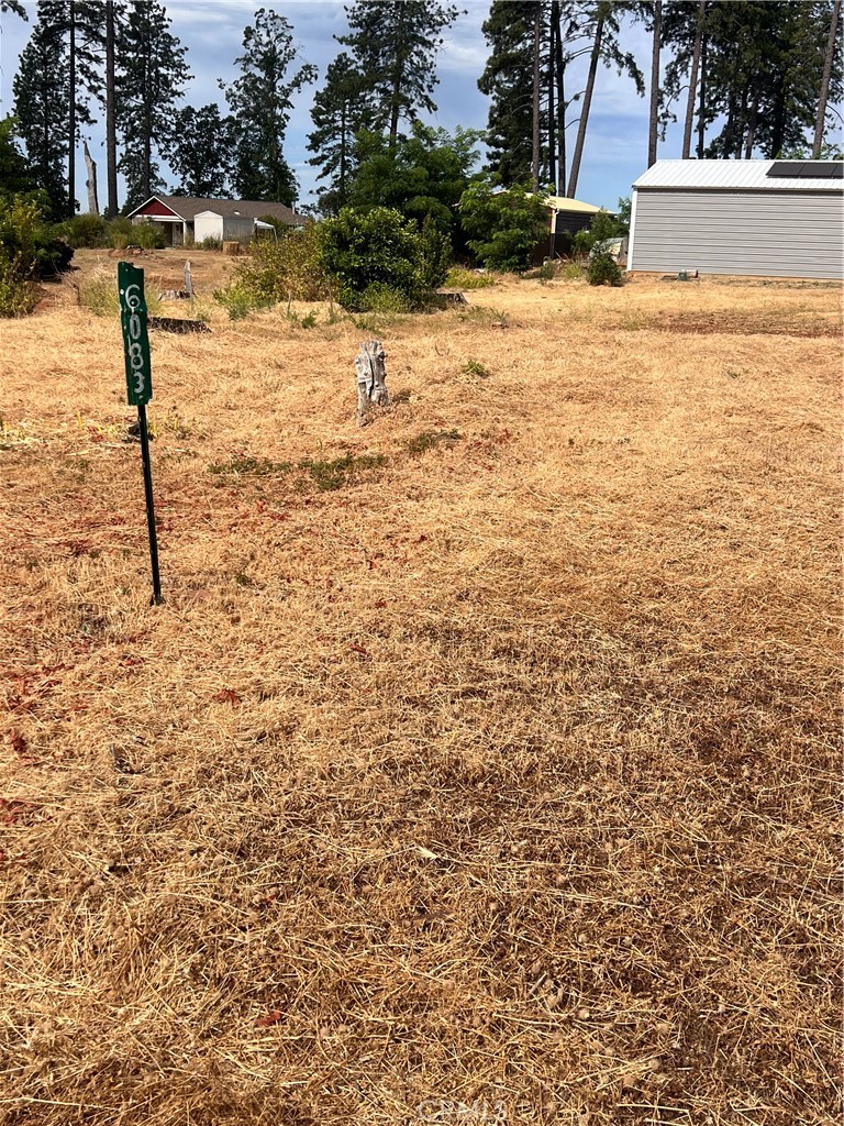 6083 Patsy Court Property Photo 2
