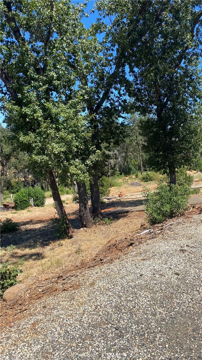 2190 De Mille Road Property Photo 8