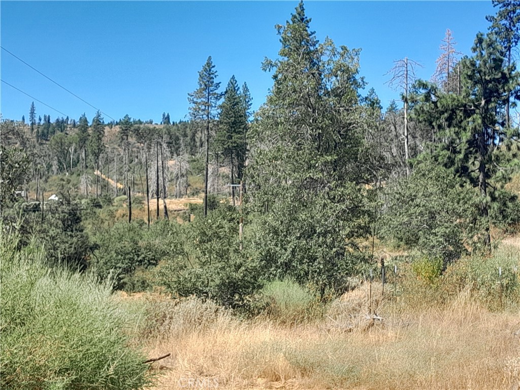 0 Boardman Lane Property Photo 8