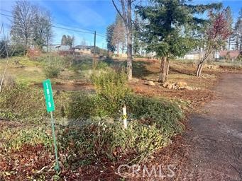 1075 Wagstaff Road Property Photo 2